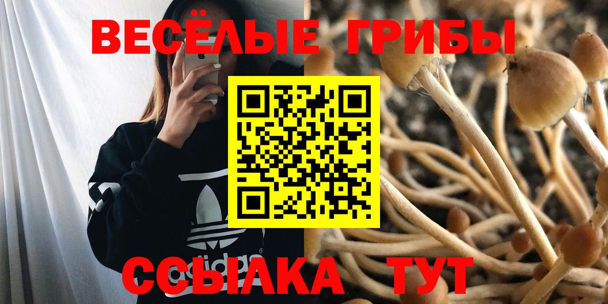 Галлюциногенные грибы Magic Shrooms Старая Купавна